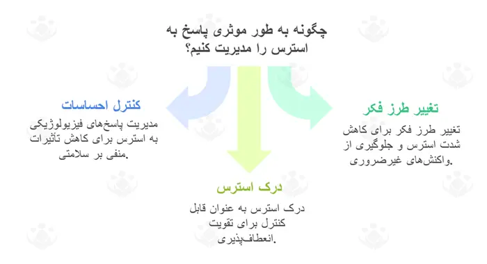 پاسخ بدن به استرس