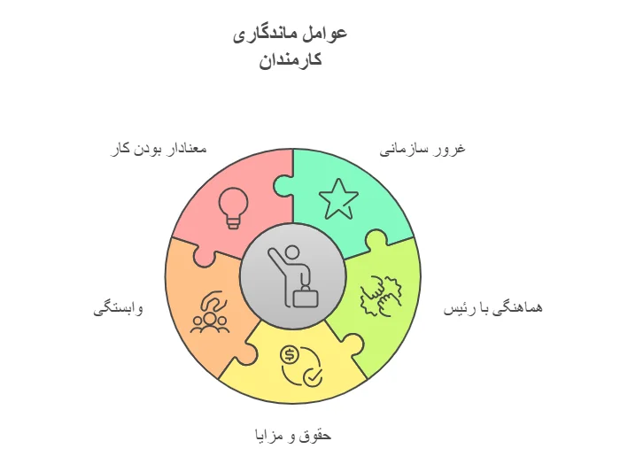 به چه دلیل کارمندان در یک شرکت می‌مانند؟