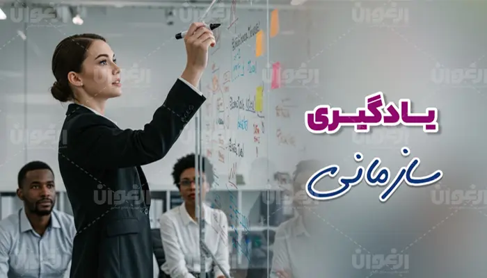 یادگیری سازمانی